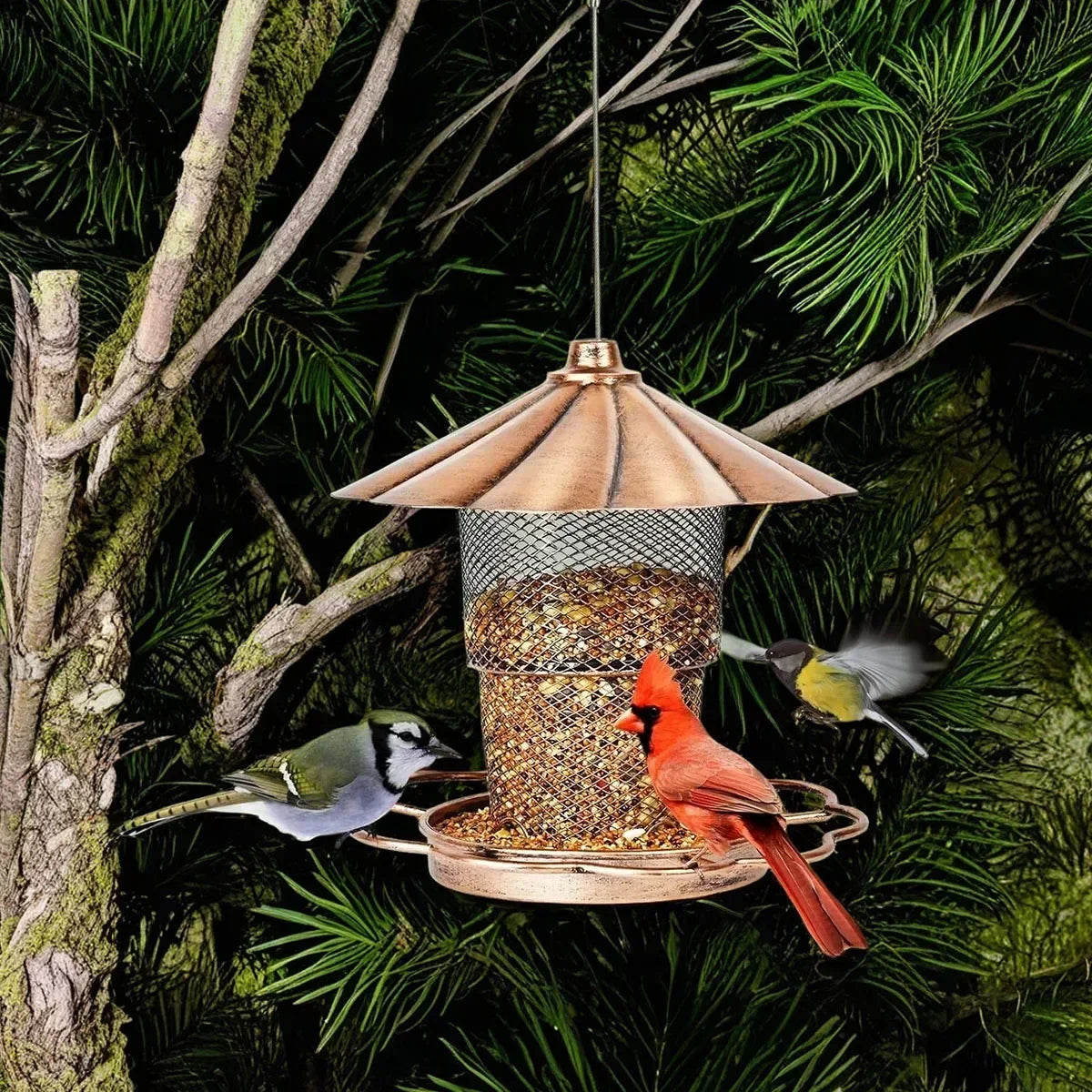 Feature Copper Bird Feeder With Lid Heavy Duty Design