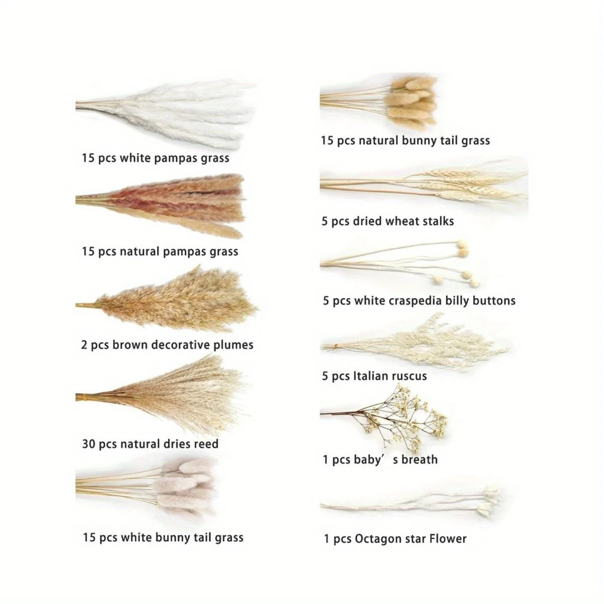 Dried Pampas Grass Bouquet With Bunny Tails Boho Decor