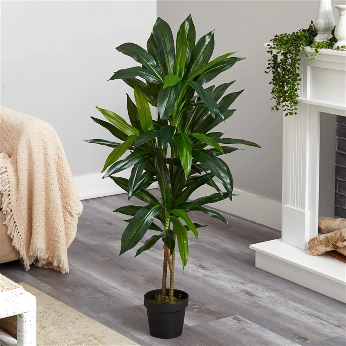 Guangdong Hign Artificial Dracaena Indoor Plant In Pot