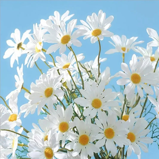 White Daisies Silk Artificial Flowers Bouquet for Weddings