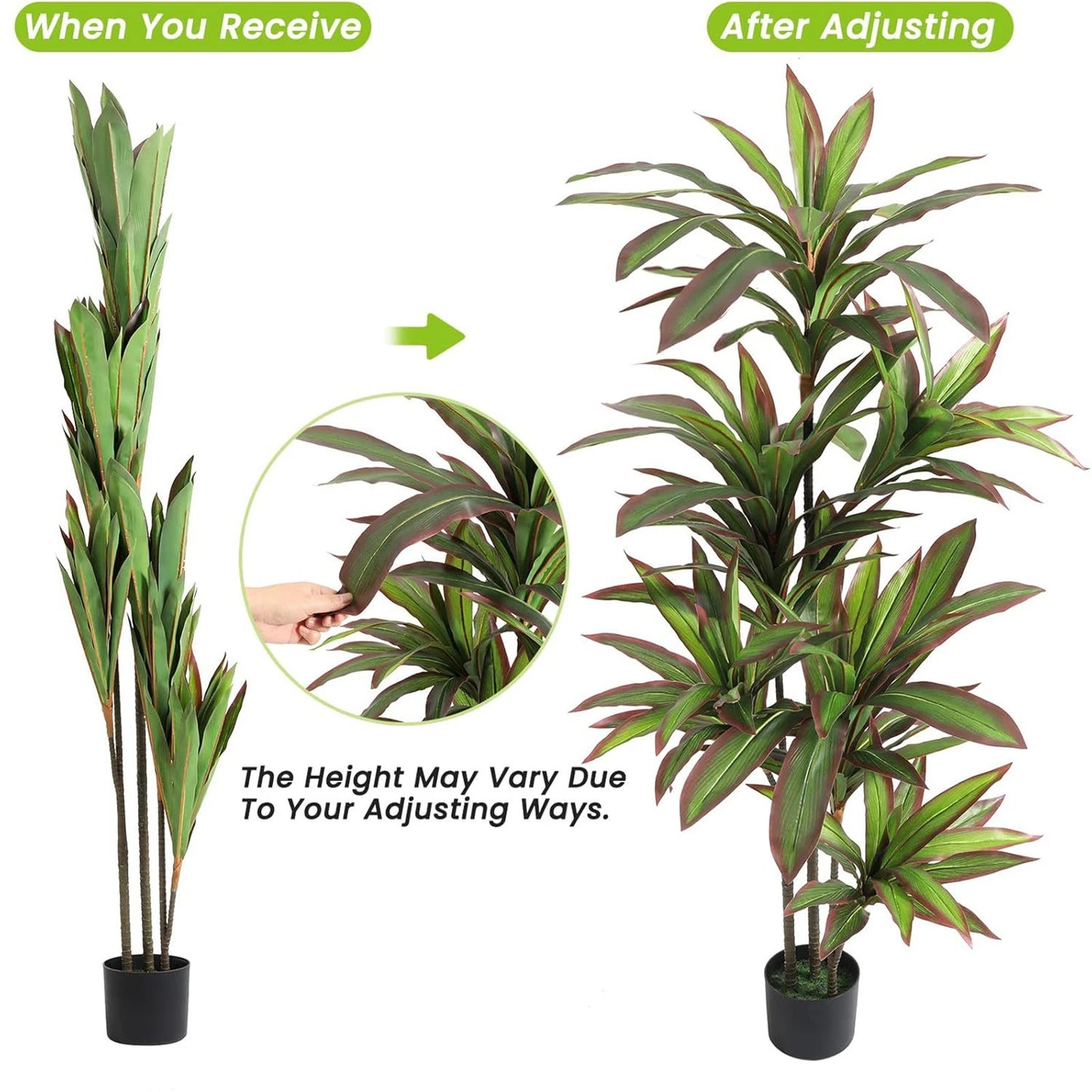 Guangdong Hign Artificial Dracaena Indoor Plant In Pot