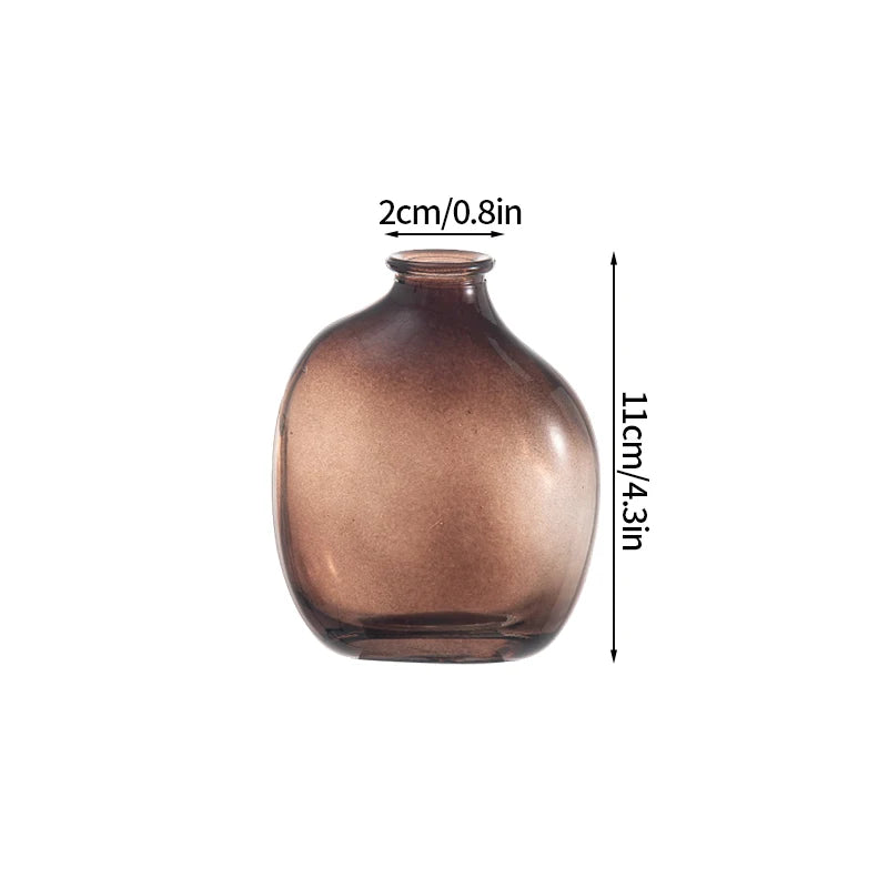 Function Retro Glass Flower Vase Hydroponic Bottle Decor