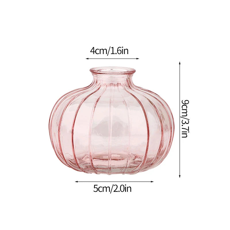 Function Retro Glass Flower Vase Hydroponic Bottle Decor