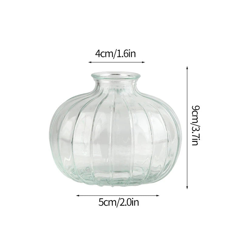 Function Retro Glass Flower Vase Hydroponic Bottle Decor